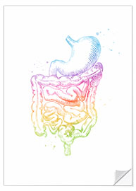 Naklejka na ścianę Rainbow intestines