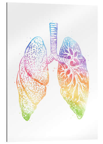Quadro em plexi-alumínio Pulmões de arco-íris