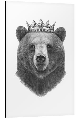 Aluminium print King bear