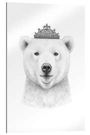 Quadro em plexi-alumínio Urso polar da rainha