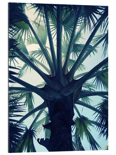 Gallery print Tropical tranquillity