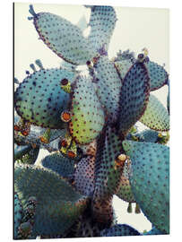 Magnettafel Stachelige Umarmung