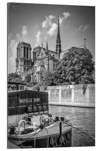 Galleritryk Katedralen Notre-Dame de Paris ved Seinen