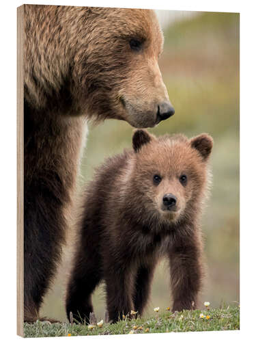 Cuadro de madera Grizzly con cachorro