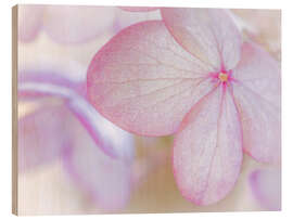 Trätavla Pink hydrangea blossom