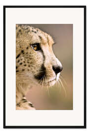 Gerahmter Kunstdruck Profil eines Gepards