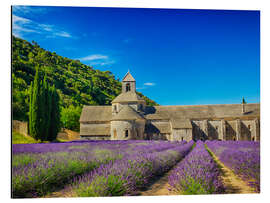 Magnettafel Kloster mit Lavendelfeld