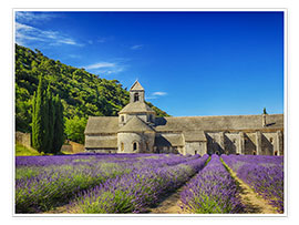 Poster Monastery with lavender field
