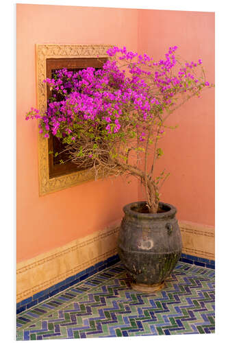 Bilde på skumplate Decorative bougainvillea