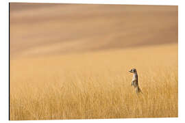 Magnettafel Erdmännchen im der Prärie