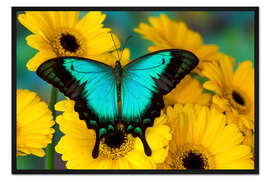 Gerahmter Kunstdruck Seegrüner Schwalbenschwanz