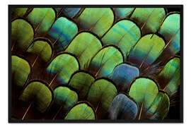 Gerahmter Kunstdruck Grüne Fasanenfedern