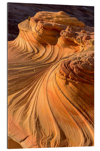 Gallery print Wave in Vermillion rock landscape