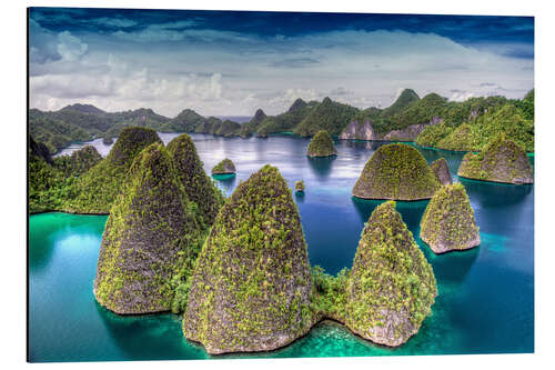 Aluminiumsbilde Raja Ampat-øyene, Indonesia