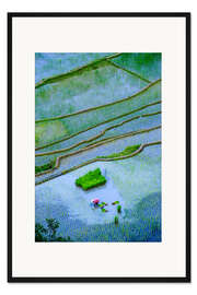 Gerahmter Kunstdruck Reisterrassen von Banaue