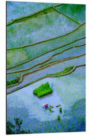 Magnettafel Reisterrassen von Banaue