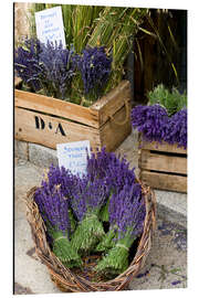 Alubild Körbe mit Lavendelsträußen - Brenda Tharp