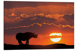 Aluminiumsbilde Rhino in the sunset