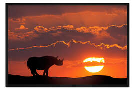 Gerahmter Kunstdruck Nashorn im Abendrot
