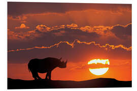 Foam board print Rhino in the sunset