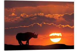 Gallery print Rhino in the sunset