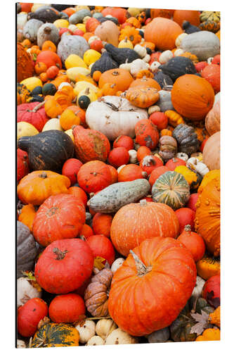 Aluminium print Fruits of autumn