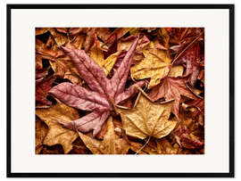 Gerahmter Kunstdruck Herbstblätter