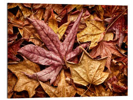 Gallery print Autumn leaves