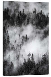 Canvas print Mist over the pine forest