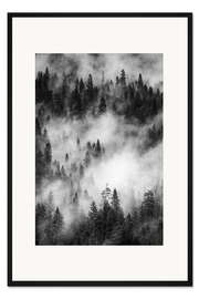 Gerahmter Kunstdruck Nebel über dem Kiefernwald