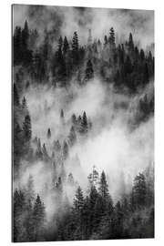 Gallery print Black and white pine forests