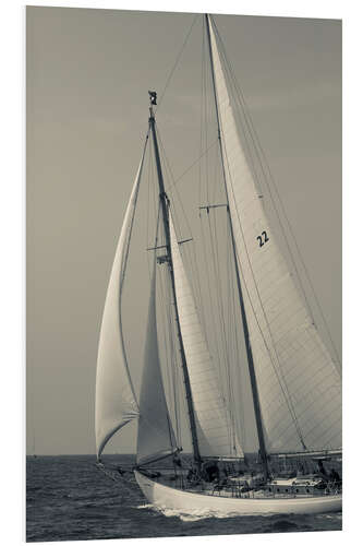 Foam board print Sailboat in the wind at Cape Ann