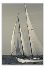 Poster Sailboat in the wind at Cape Ann