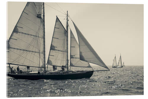 Acrylic print Sailboats at Cape Ann