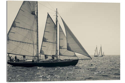 Gallery print Sailboats at Cape Ann