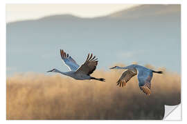 Wall sticker Canada cranes in flight