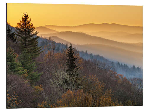 Stampa su alluminio Parco nazionale delle Great Smoky Mountains