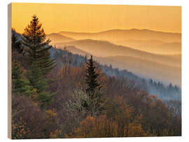 Trätavla Great Smoky Mountains National Park