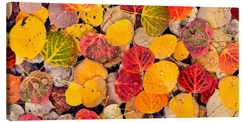 Canvastavla Poplar leaves