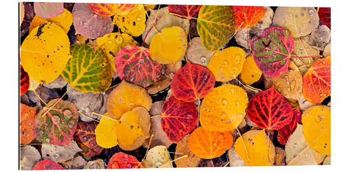 Galleritryk Poplar leaves