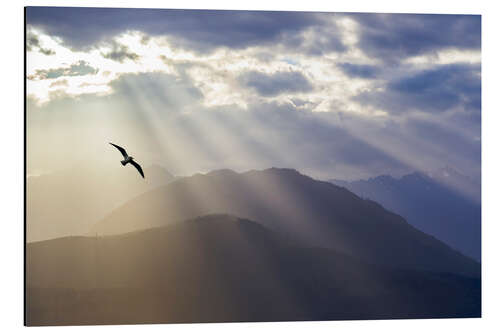 Tableau en aluminium Mouettes et rayons divins sur les montagnes Olympiques