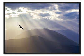 Gerahmter Kunstdruck Möwe über strahlendem Olymp