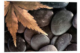 PVC-tavla Maple leaf on pebbles