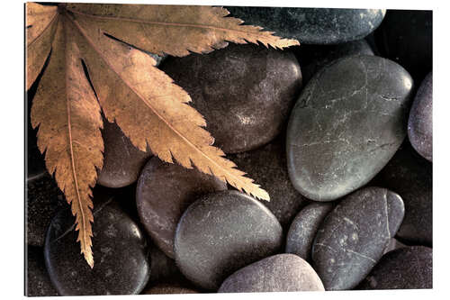 Gallery print Maple leaf on pebbles