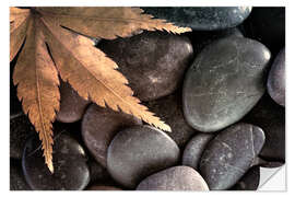 Selvklebende plakat Maple leaf on pebbles