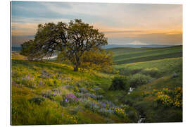 Gallery print Hills landscape with old oak