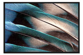 Gerahmter Kunstdruck Agaporniden Schwanzfedern