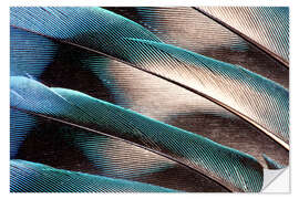 Muursticker Agaporniden tail feathers