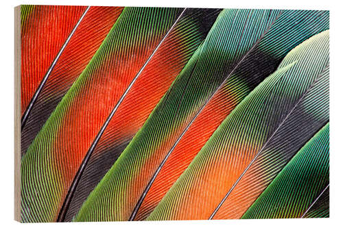 Tableau en bois Plumes d'inséparables