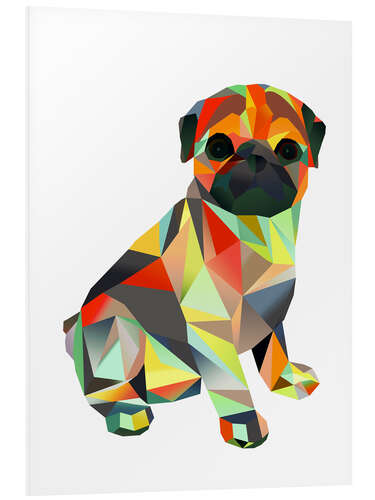 Foam board print Molly Pug 2